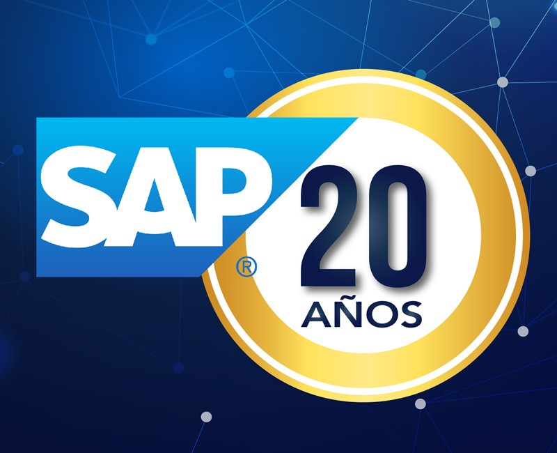 SAP - SI Consulting