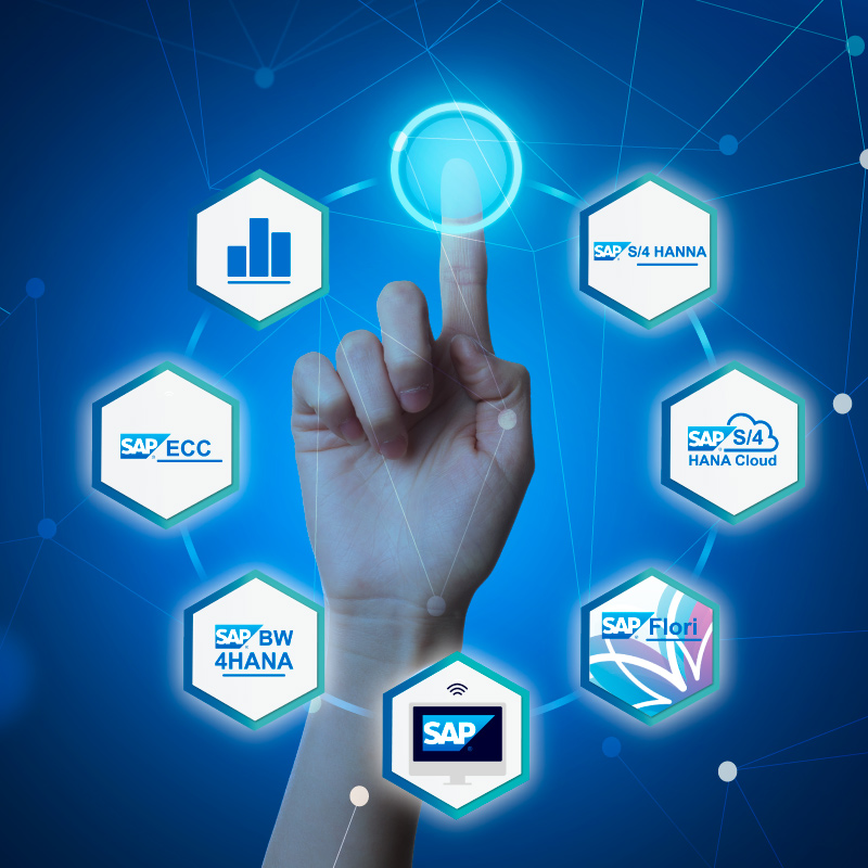 SAP - SI Consulting