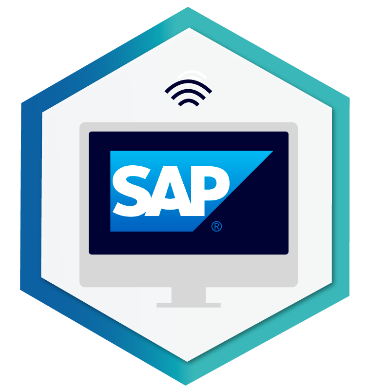 SAP - SI Consulting