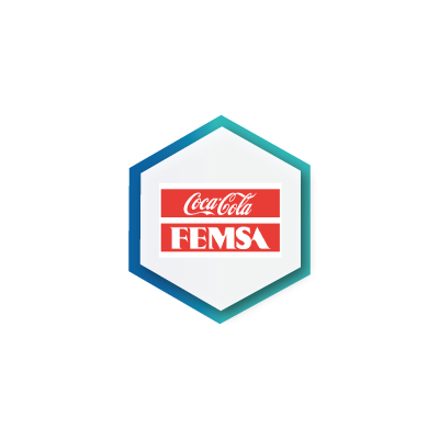 Coca Femsa Socios SI Consulting