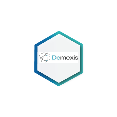 Demexis Socios SI Consulting