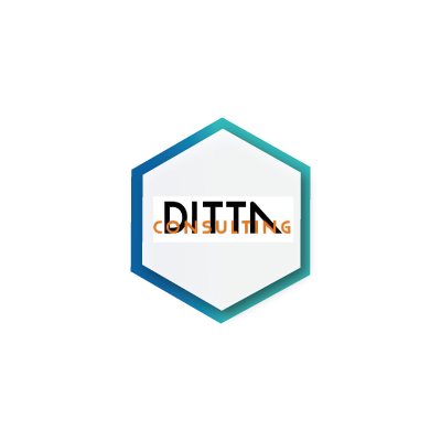 Dittn Socios SI Consulting