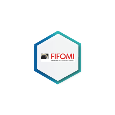 Fifomi Socios SI Consulting