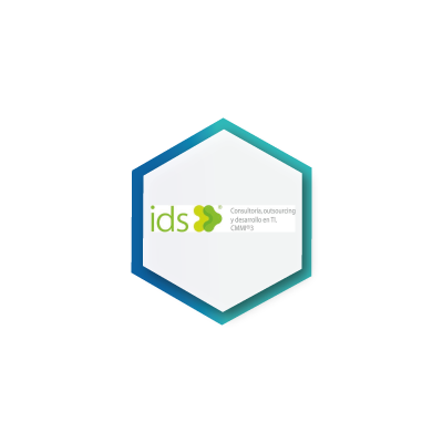 IDS Socios SI Consulting