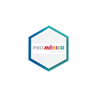 ProMexico Socios SI Consulting