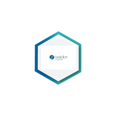 Seidor Socios SI Consulting