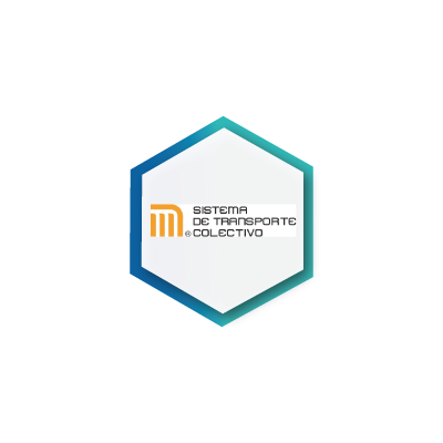 Sistema de Transporte Colectivo Metro Socios SI Consulting