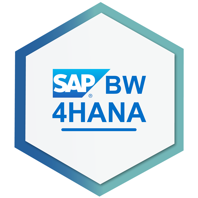 SAP - SI Consulting