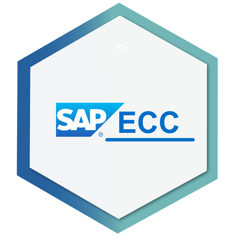 SAP - SI Consulting