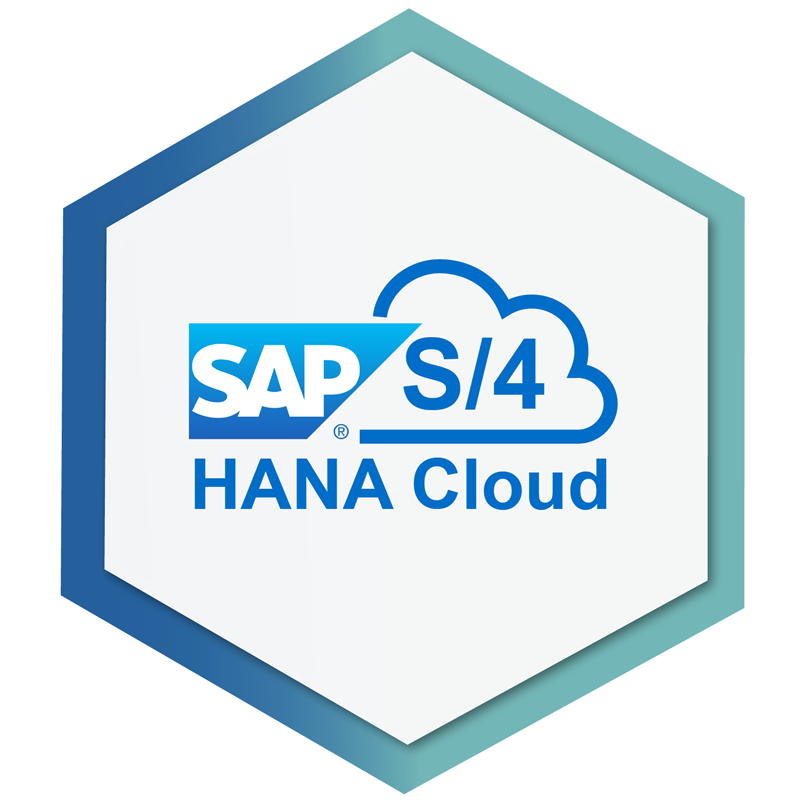 SAP - SI Consulting