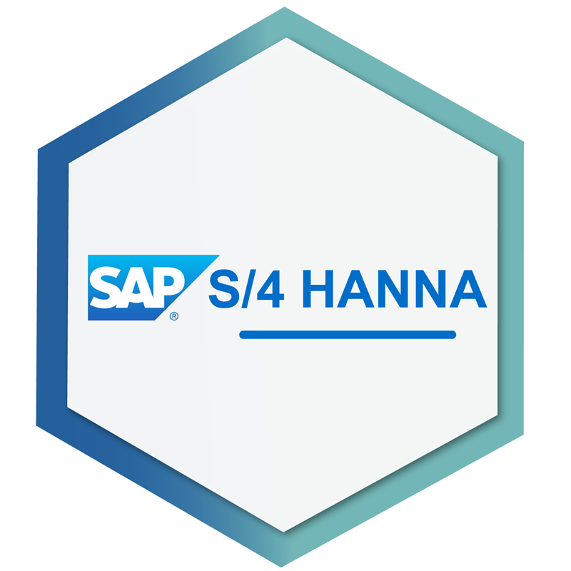 SAP - SI Consulting